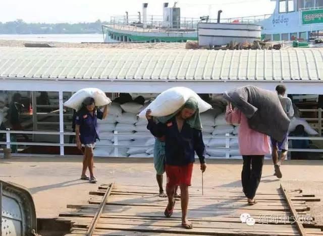 缅甸大米出口,最终还是离不开中国