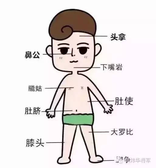 只有客家人才能看得懂的人体构造图.