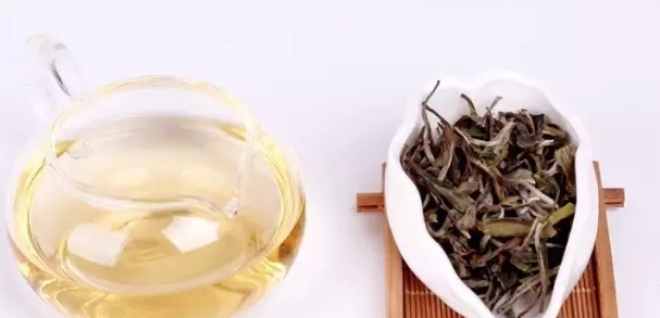 福鼎白茶：白牡丹的功能与饮用忌讳