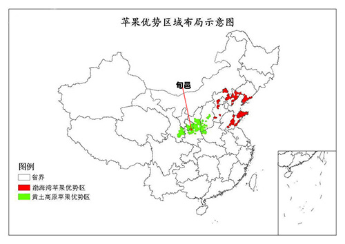 其苹果以酸甜口味为主,但是甜度却高出其它产区20%,并且,旬邑县是全国