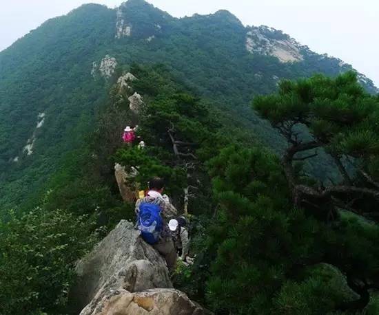 今秋,大王叫你去爬山!沈阳人最想征服的 13 座山都在这!