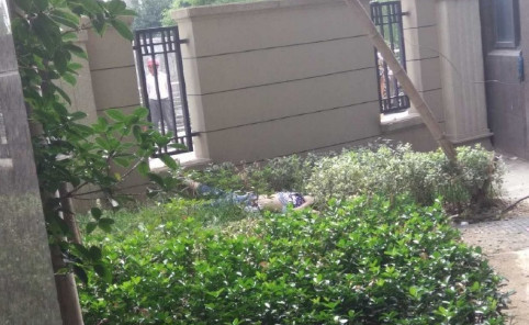 合肥庐江13岁女孩从27楼跳楼身亡