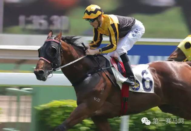 马主列队鼓掌迎接冠军骑师--香港赛马观感之一
