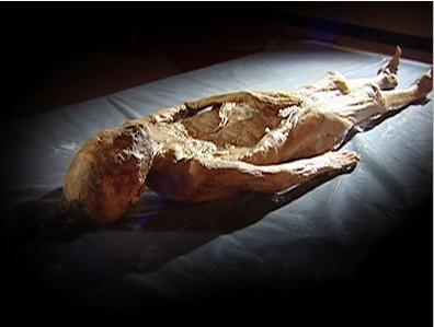 图,清代不朽女尸.安徽砀山,于2001年出土的清代女尸.