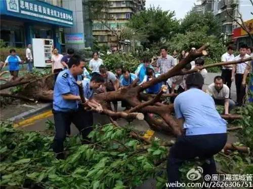 厦门市外来人口_新移民城市 在厦门的外地人太可怕,他们竟然...(2)