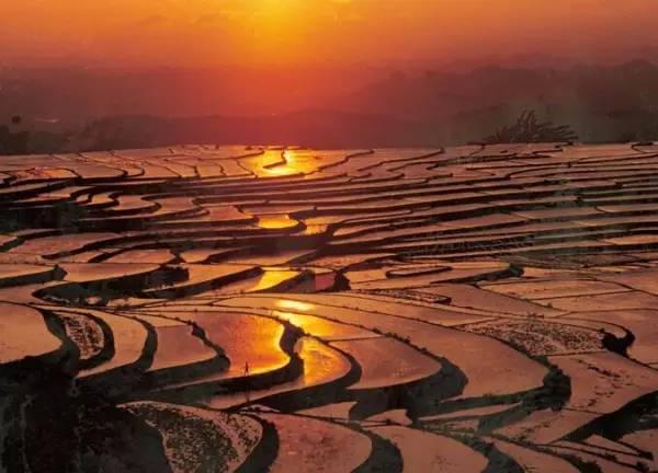 线路:贵阳—花溪—惠水—摆榜 宝源梯田位于赤水国家级风景名胜区,宝