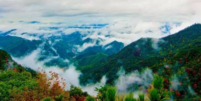 临安竟然有如此梦幻的美景,来这里,寻一处人间仙境.