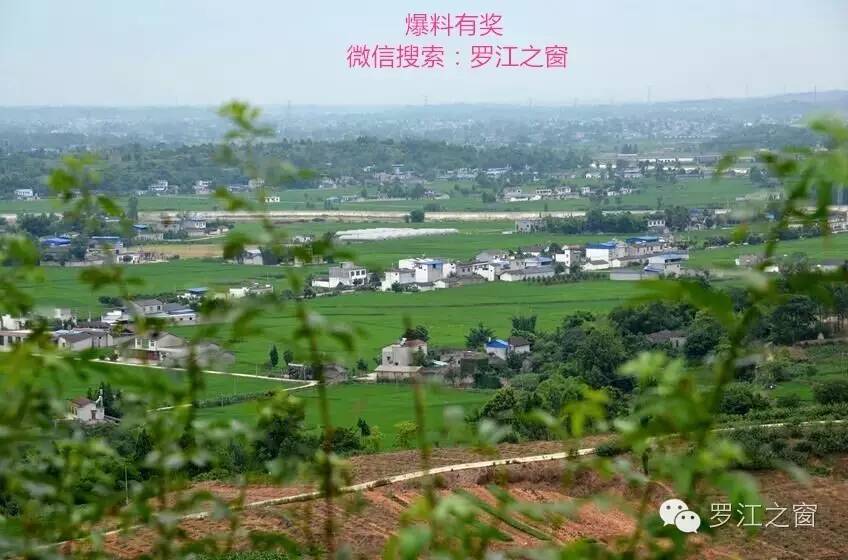 其它 正文  罗江县调元镇回乡农民工杨学军对此深有感触:以前在外地务