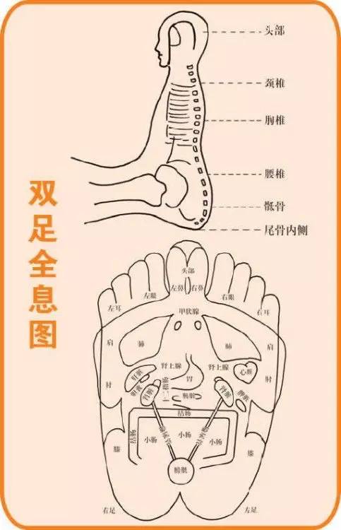 全身穴位治疗口诀大全,配图精华版,想学经络穴位的