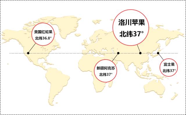 北纬37°的顶级苹果距你只有一步之遥 亲自去