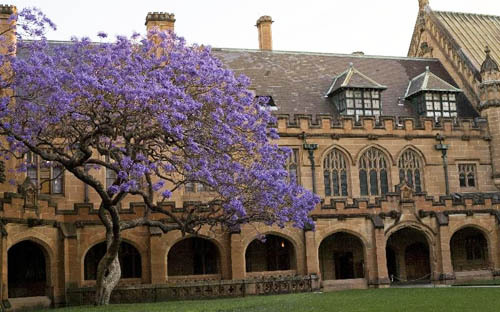 悉尼大学建筑设计与规划学院入学要求(申请条