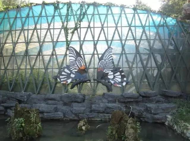 彭州中华蝴蝶生态城景区,看彩蝶,追逐流萤飞舞的世界,10800张门票免费