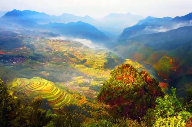 阳春有多少人口_景芝景阳春有红瓶