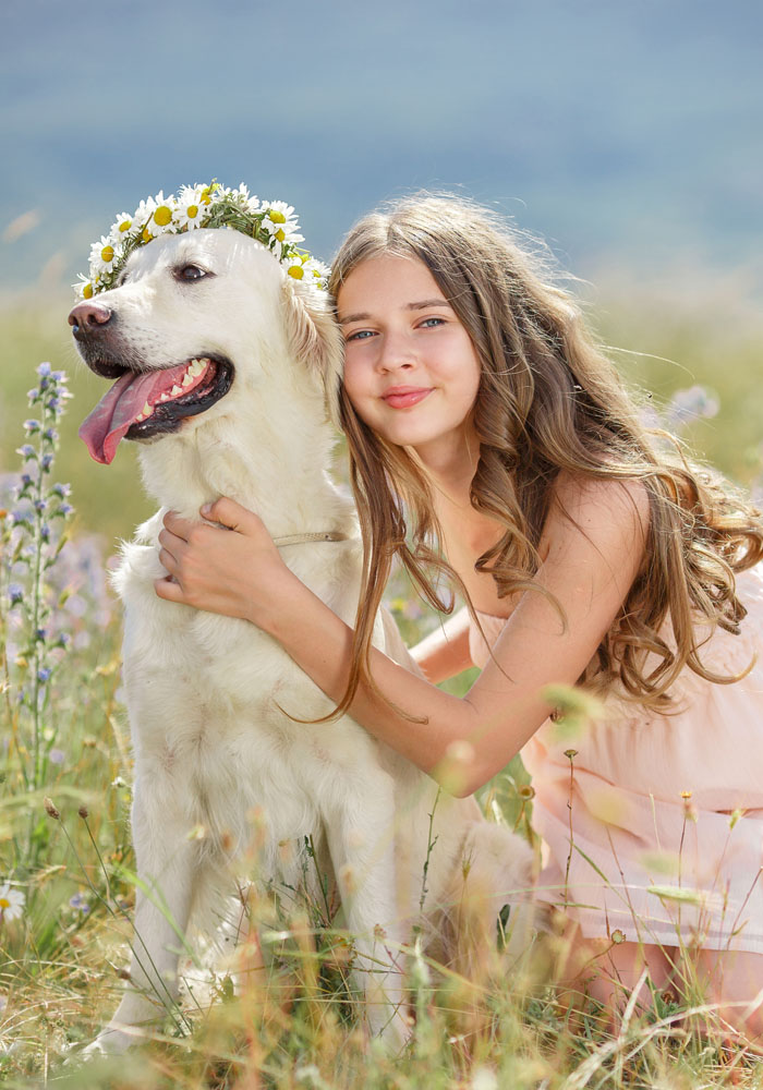 泰迪幼犬鼻子干怎么办