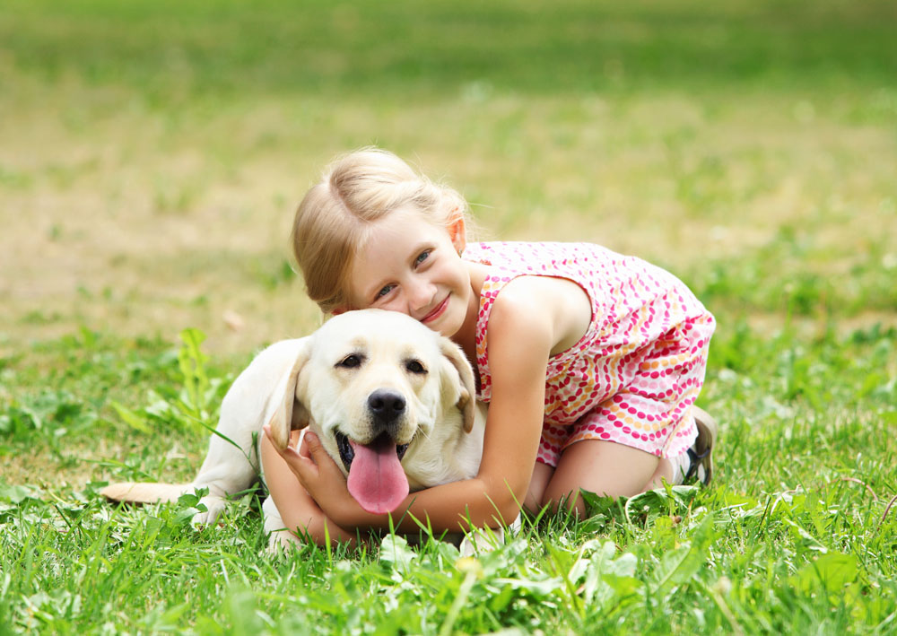 泰迪幼犬鼻子干怎么办