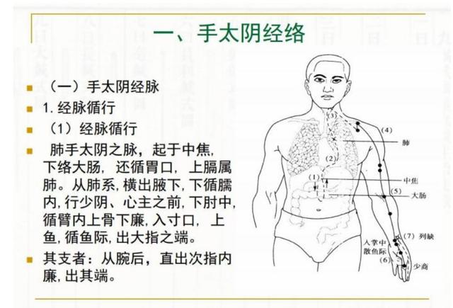 秋季胆经肝经处于最衰状态,艾灸养生保健是关键