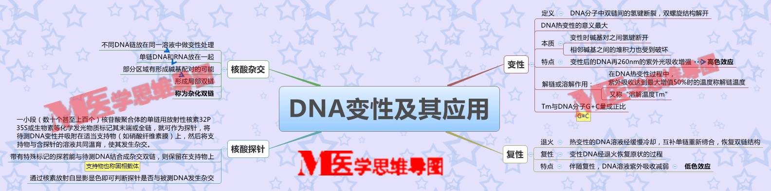 思维导图丨dna变性及其应用