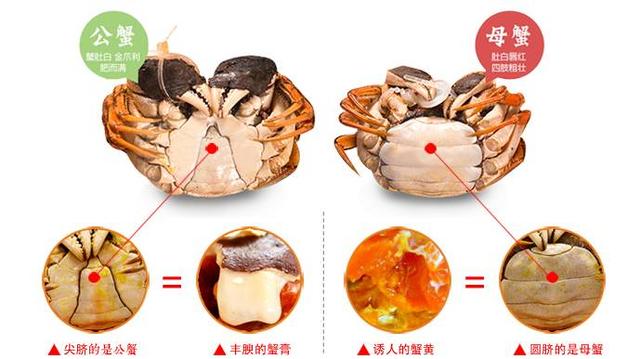 秋风时节,最爱吃蟹!