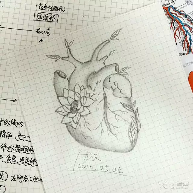 图示 学生创作心脏图