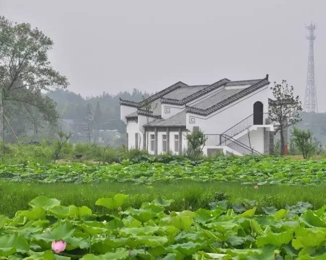 郝堂村街道干净整洁,一幢幢青砖石瓦的现代建筑和历史遗存的茅草土坯