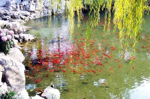 杭州西湖的十景,你都见过吗?