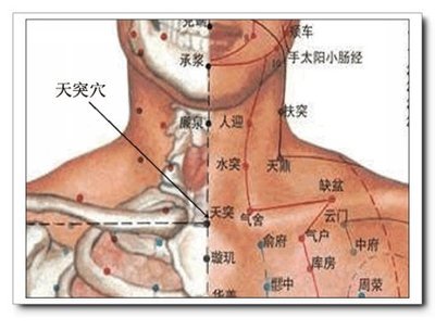 咽炎的原理_化橘红治疗咽炎咳嗽的原理