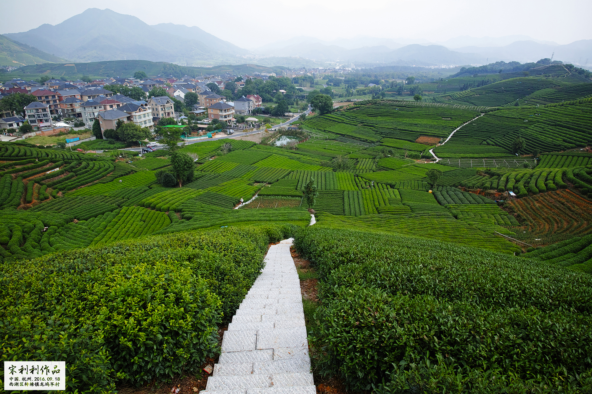 杭州龙坞茶村,2016年十一国庆黄金周杭州旅游资讯