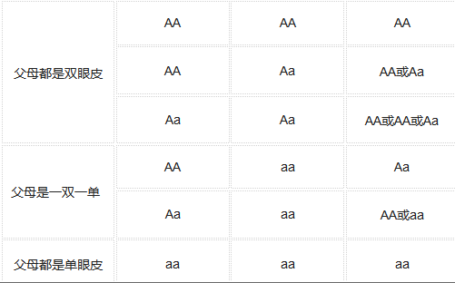 科普 宝宝单双眼皮到底遗传谁