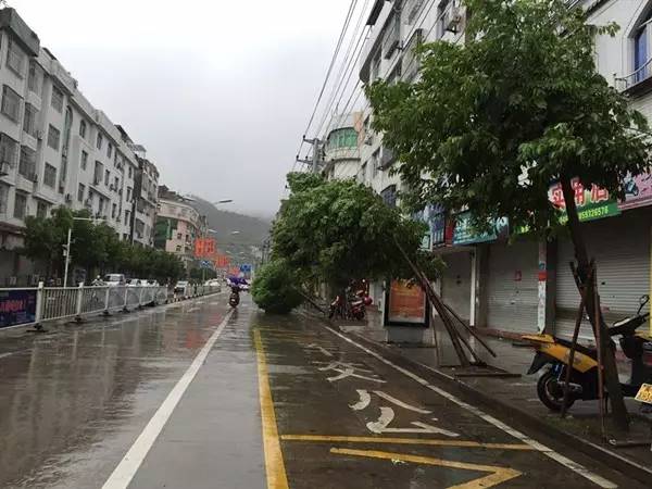 路与金山路积水很深周宁县受灾情况寿宁县南阳镇受灾情况寿宁县旧四