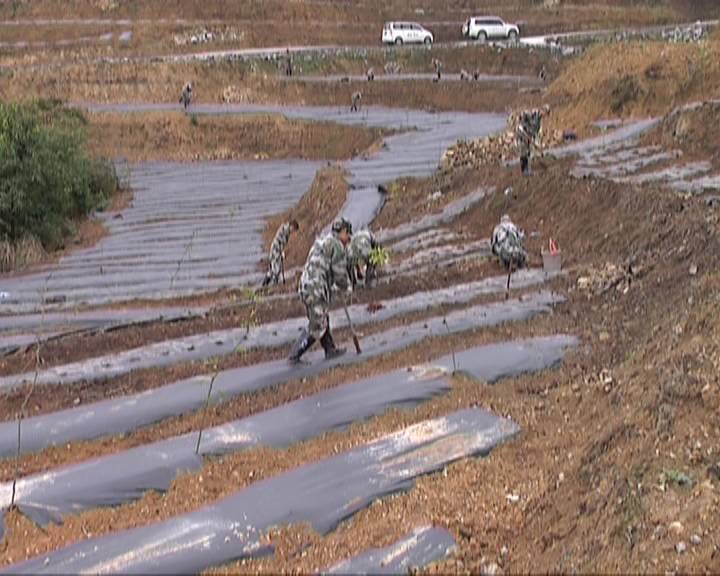 大方雨冲镇人口_微信头像简单大方