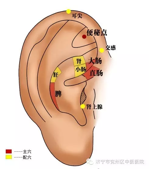 秋燥便秘怎么办