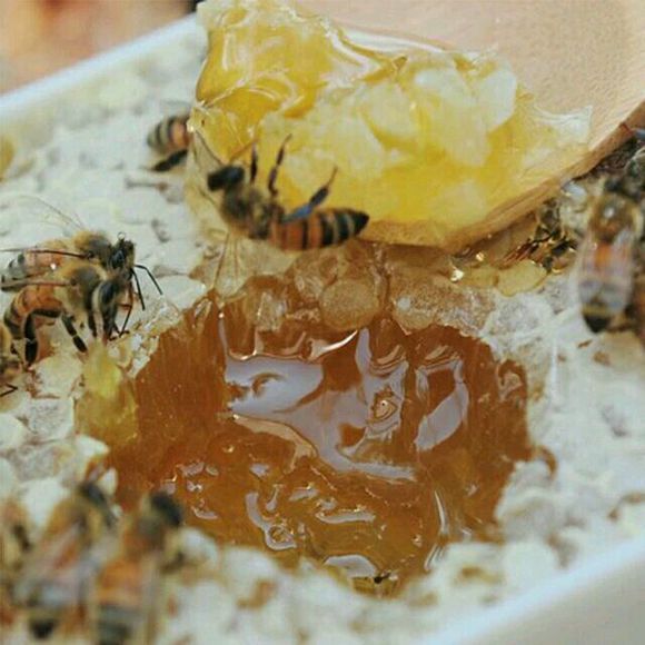 【蜂蜜怎么卖】