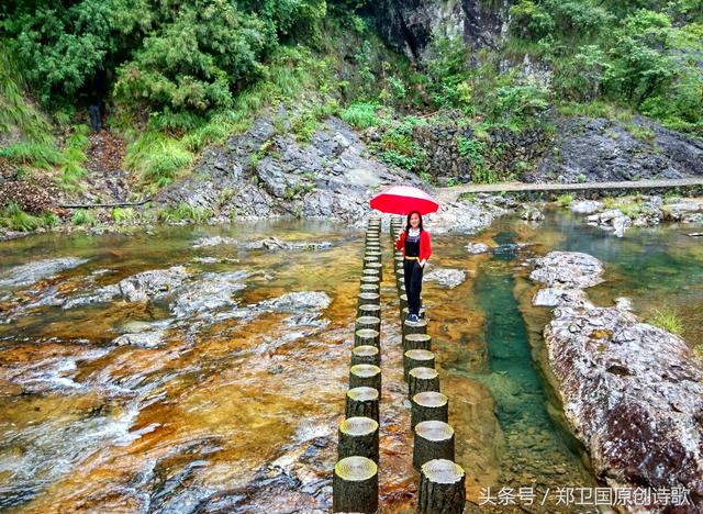 美丽中国行游文成铜铃山森林公园有感