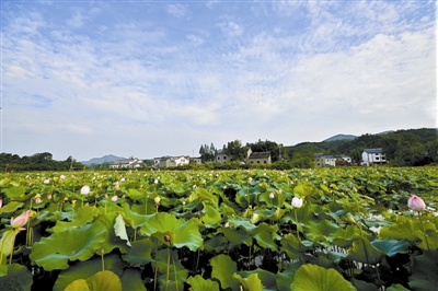 中国最美乡村郝堂