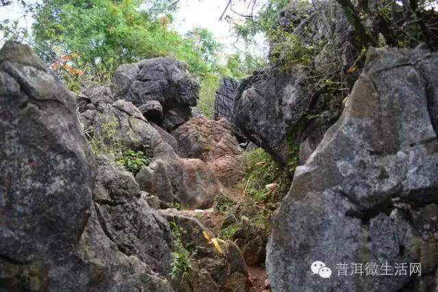 十一不想人挤人,就去宁洱的西门岩子吧!有惊喜!