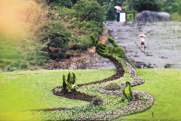 万盆鲜花靓竹城 缤纷花海迎国庆