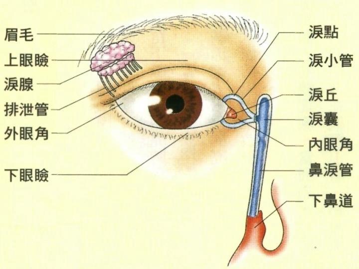 比如说有些内眼角的手术,造成眼睑干涩不舒服就是因为形成油水膜的