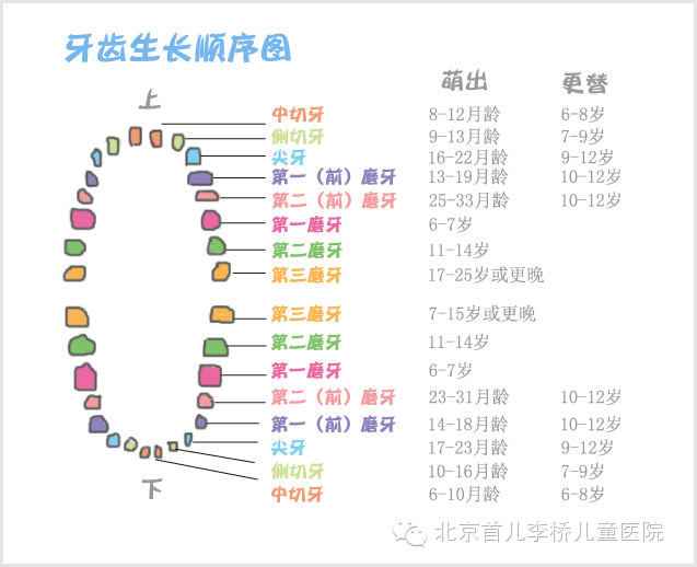 必读宝宝小牙齿的"护理指南"