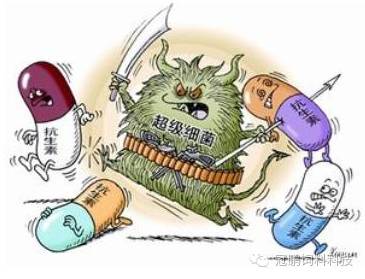 中国抗生素用量中半数是兽用,停用饲料抗生素