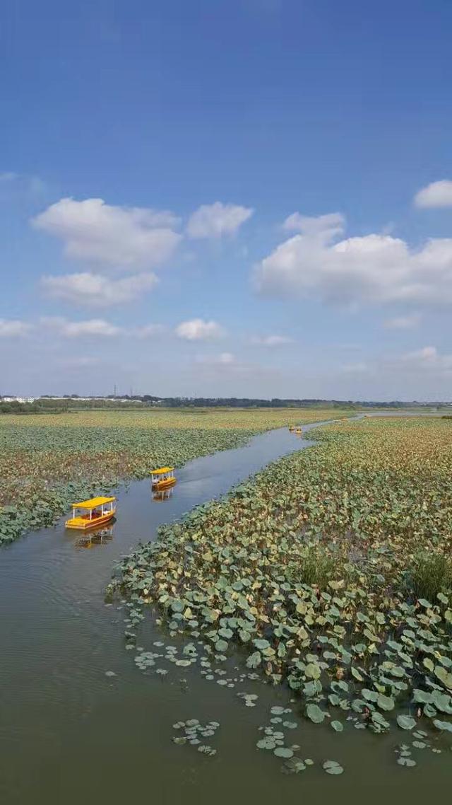 国庆期间龙湖美:最宜居小城淮阳掠影