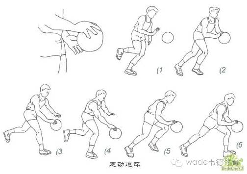 篮球教案模板范文小学_幼儿园中大班篮球教案_幼儿篮球教案范文