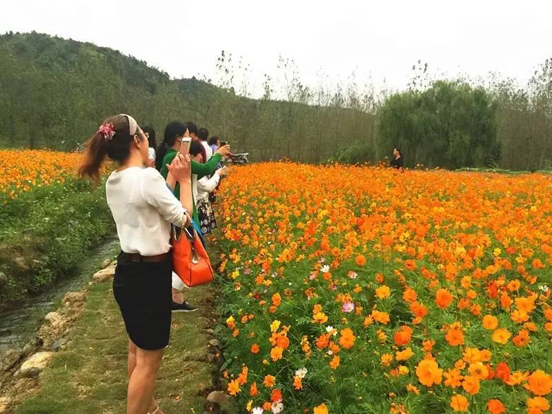 桂阳界牌村人口多少_桂阳望湖山庄门票多少