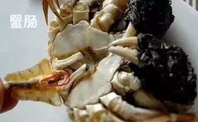 吃螃蟹不用这种姿势简直白吃了!