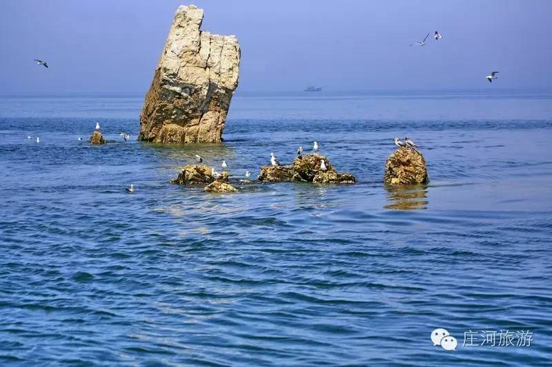 庄河有多少人口_一口一档 一口一策 庄河精准整治入河排污口