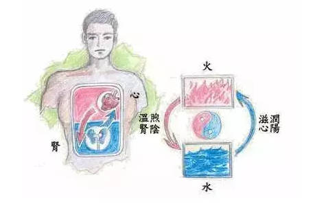 补肾先补心,让心肾相交的通元既济功!