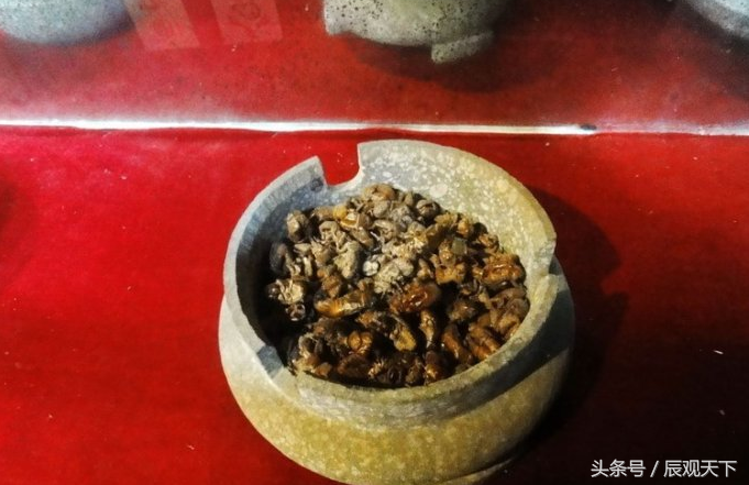 被称为东南亚三大巫术之首,隐秘的苗蛊到底有多毒