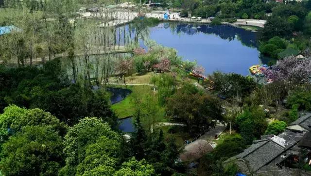 彭州园就是彭州人的人民公园,碧水静湖,悠然惬意.