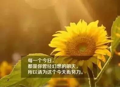 致每一个为今天努力的你