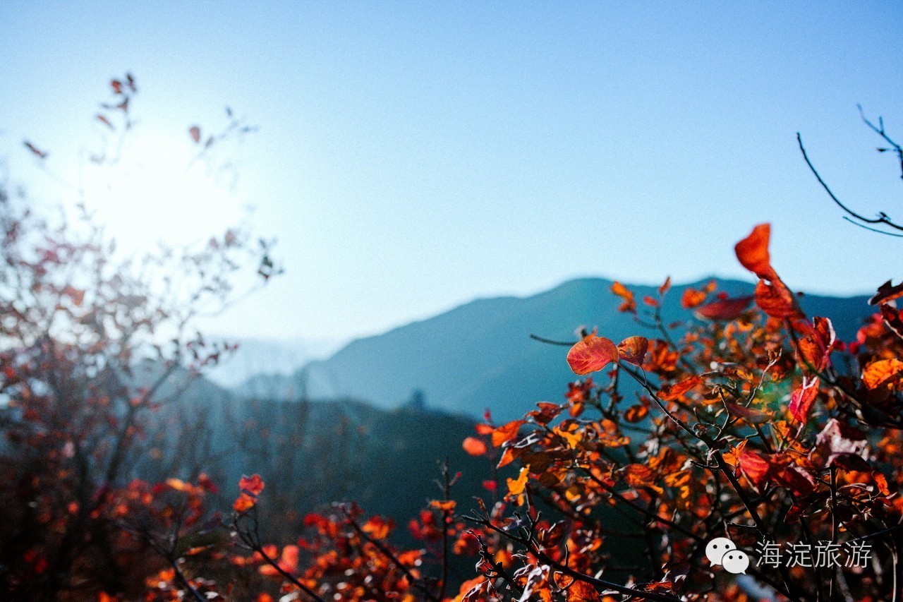 怎么搭香山_香山红叶简笔画怎么画(3)