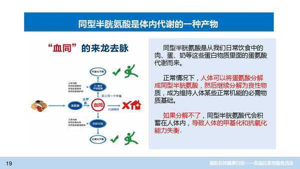 同型半胱氨酸的危害(血同系列3)